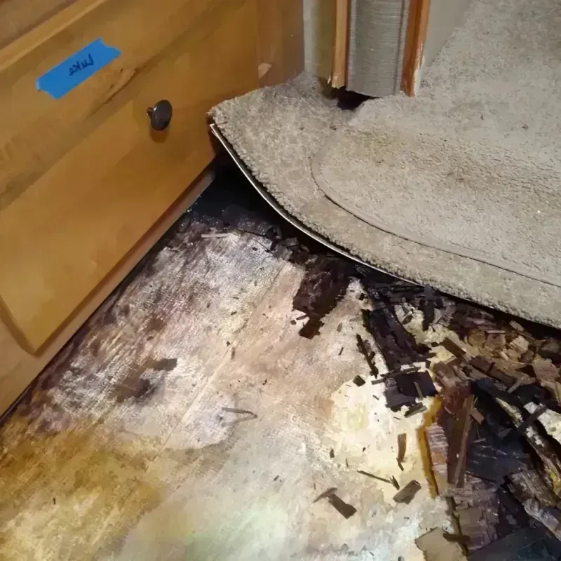 Best Wood Floor Water Damage Service in Twin Lakes, NM